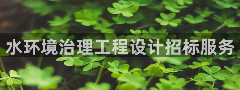 凯发k8官网备用网址|水环境治理工程设计招标服务