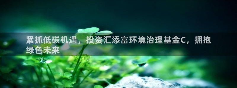 凯发k8ag旗舰厅真人平台|紧抓低碳机遇，投资汇添富环境治理基金C，拥抱
绿色未